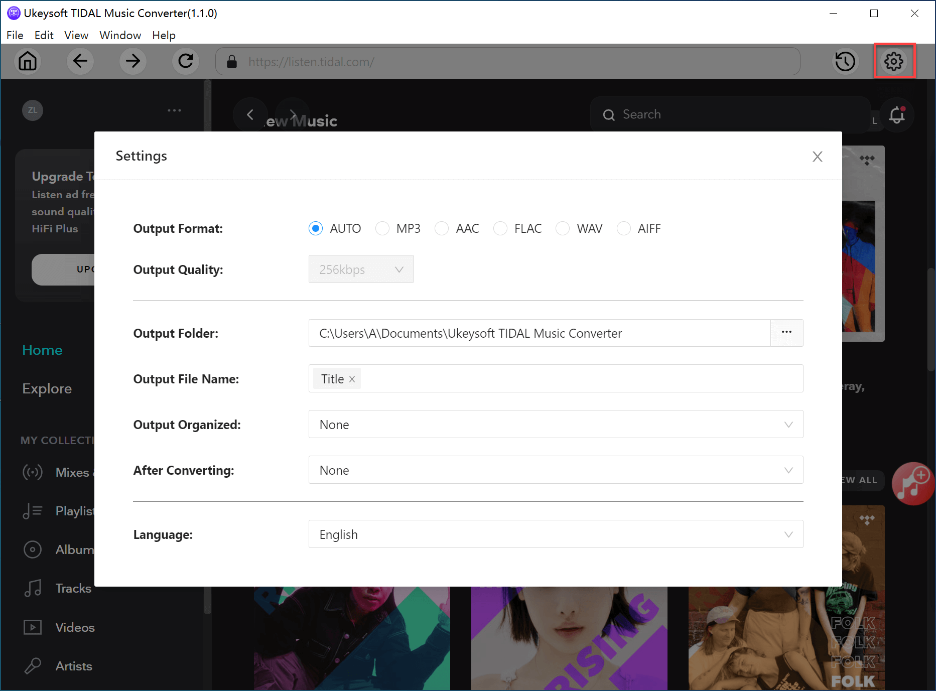 tidal music converter output format