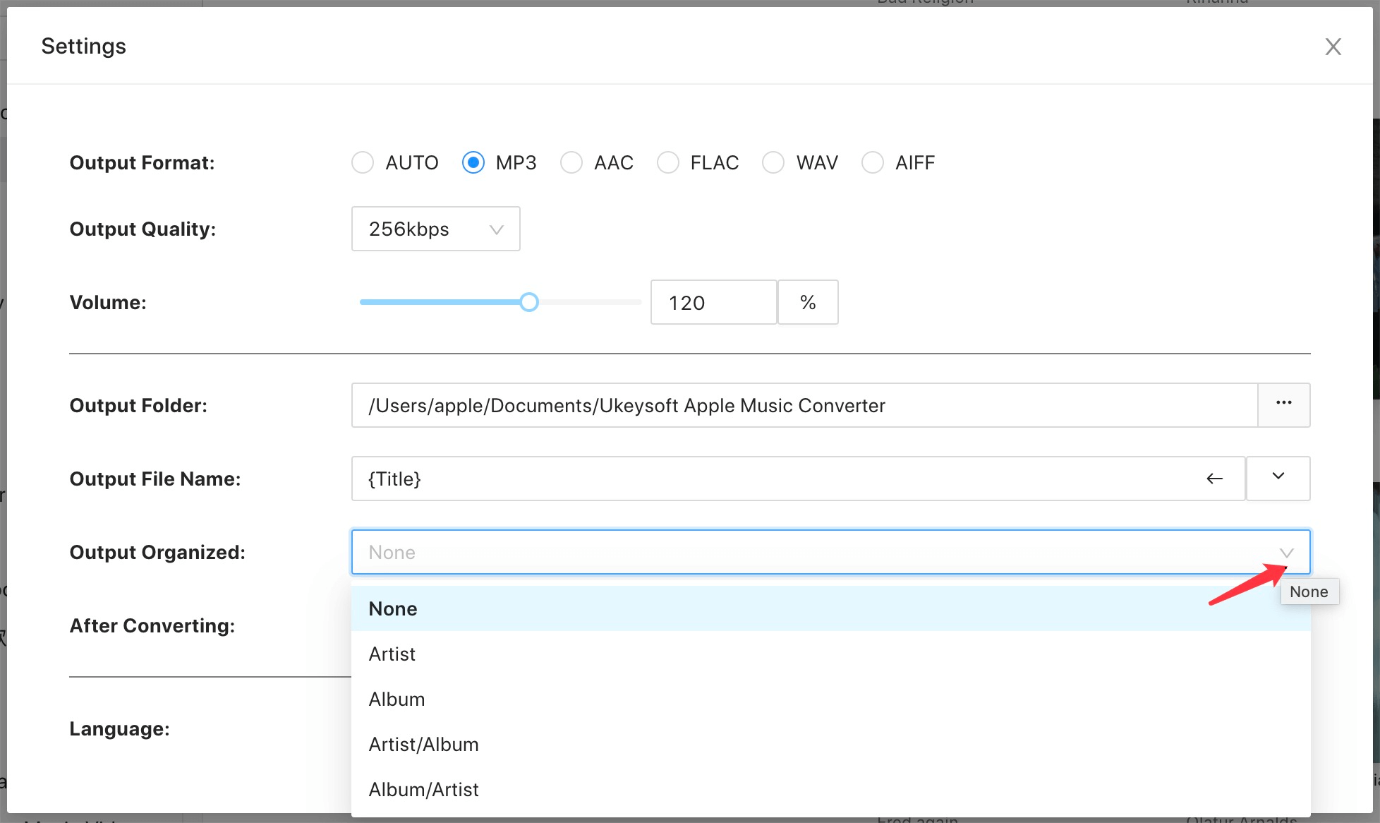 file name format